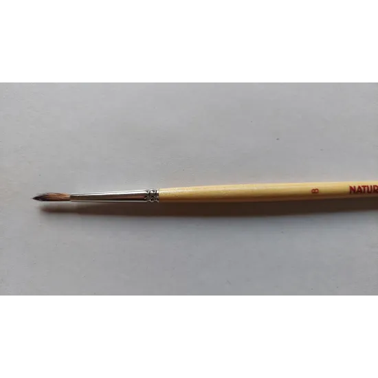 Fine Art Paint Brushes