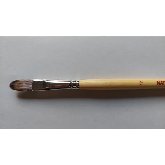 Fine Art Paint Brushes